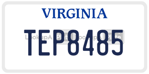 TEP8485  license plate in VA