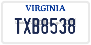 TXB8538  license plate in VA