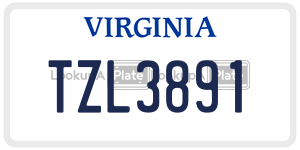 TZL3891  license plate in VA