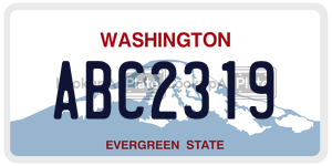 ABC2319  license plate in WA