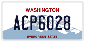 ACP6028  license plate in WA