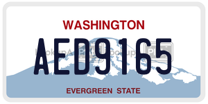 AED9165  license plate in WA