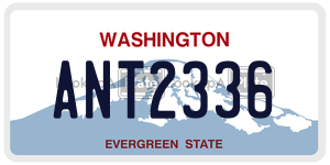 ANT2336  license plate in WA