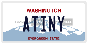 ATINY  license plate in WA