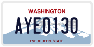 AYE0130 license plate in Washington