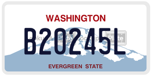 B20245L license plate in Washington