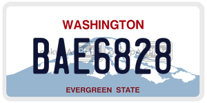 BAE6828  license plate in WA