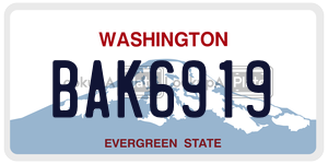 BAK6919 license plate in Washington