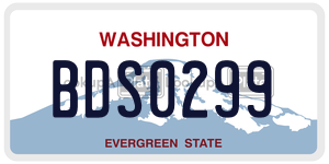 BDS0299  license plate in WA