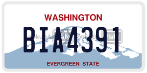 BIA4391  license plate in WA