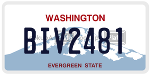 BIV2481  license plate in WA