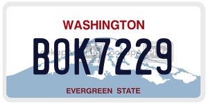 BOK7229  license plate in WA
