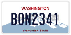 BON2341 license plate in Washington