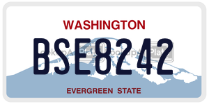 BSE8242 license plate in Washington