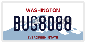BUG8088  license plate in WA