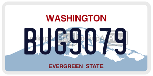 BUG9079  license plate in WA