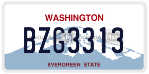 BZG3313  license plate in WA