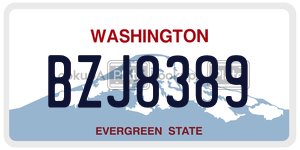 BZJ8389 license plate in Washington