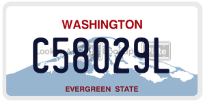 C58029L  license plate in WA