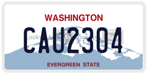 CAU2304 license plate in Washington
