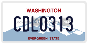 CDL0313  license plate in WA