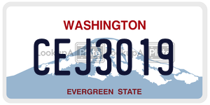 CEJ3019  license plate in WA