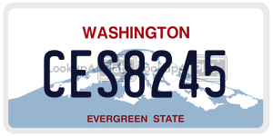 CES8245  license plate in WA