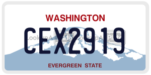 CEX2919  license plate in WA