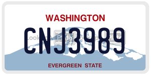 CNJ3989  license plate in WA