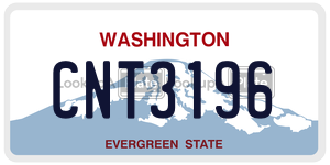 CNT3196  license plate in WA