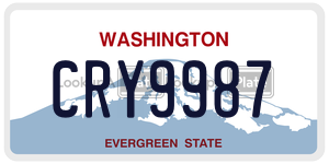 CRY9987  license plate in WA