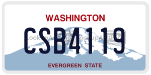 CSB4119 license plate in Washington