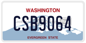CSB9064  license plate in WA