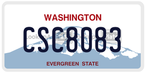 CSC8083  license plate in WA