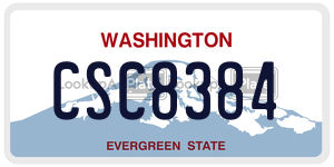 CSC8384 license plate in Washington