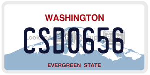 CSD0656  license plate in WA