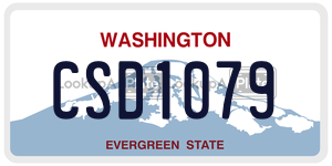 CSD1079  license plate in WA