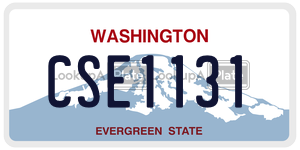 CSE1131  license plate in WA