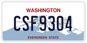 CSF9304  license plate in WA