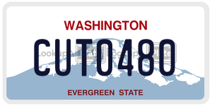 CUT0480  license plate in WA