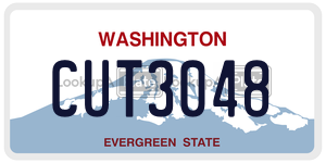 CUT3048  license plate in WA