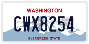CWX8254  license plate in WA