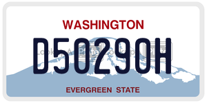 D50290H  license plate in WA