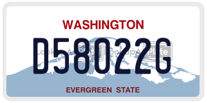 D58022G license plate in Washington