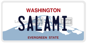 SALAMI  license plate in WA