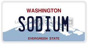 SODIUM license plate in Washington