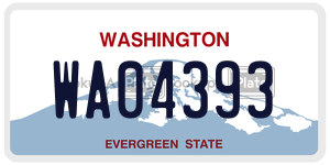WA04393  license plate in WA