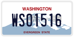 WS01516 license plate in Washington