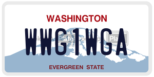 WWG1WGA license plate in Washington