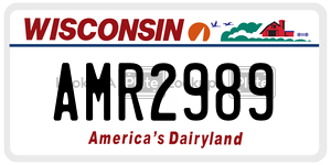 AMR2989  license plate in WI